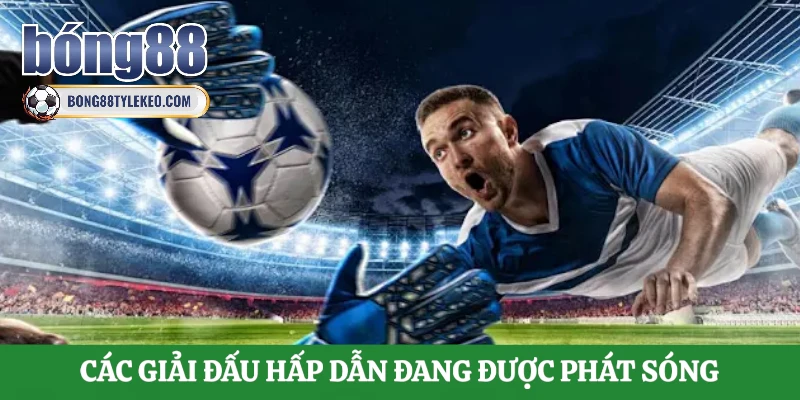 cac-giai-dau-hap-dan-dang-duoc-phat-song