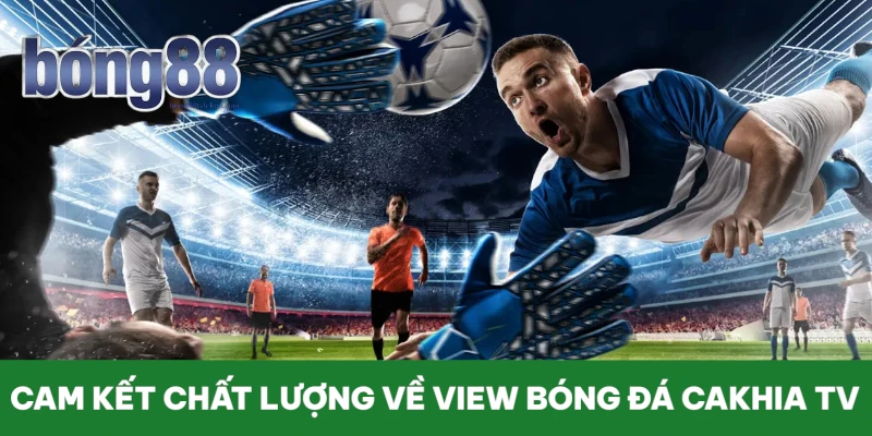 cam-ket-chat-luong-ve-view-bong-da-cakhia-tv
