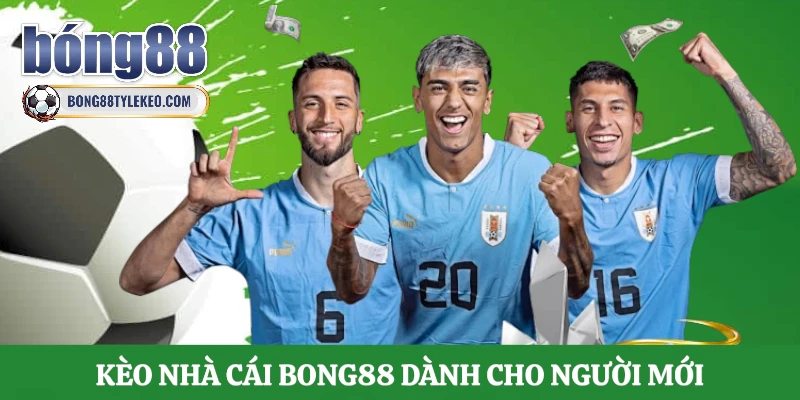 tong-quan-keo-nha-cai-bong88-danh-cho-nguoi-moi