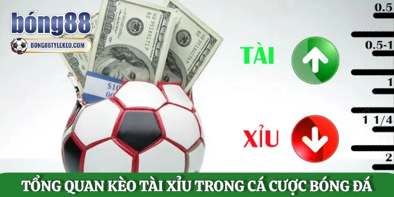 tong-quan-keo-tai-xiu-trong-ca-cuoc-bong-da